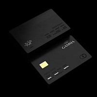 Visa card